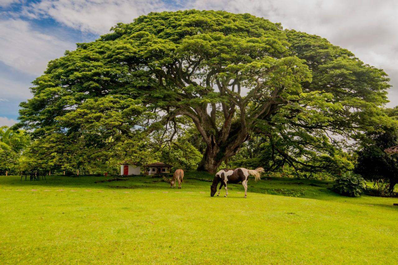 Вилла Hacienda El Saman Кимбайя Экстерьер фото